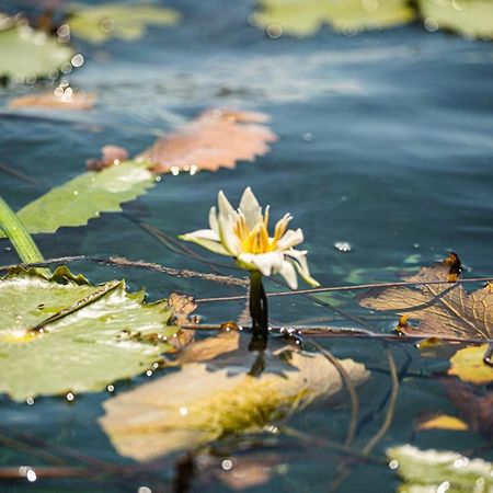 Casa Sol Y Luna Bacalar Bed & Breakfast Luaran gambar